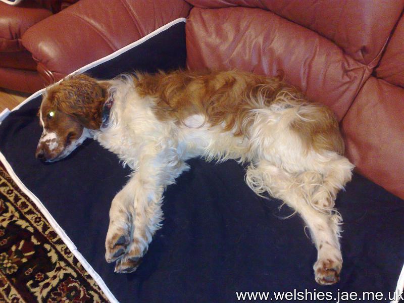 2010-11-27 01.jpg - Getting the hang of these covers